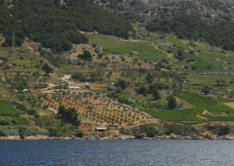 Shared Sailing: Split & Hvar in 3 days